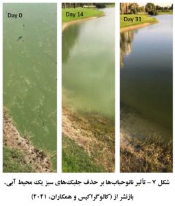 تاثیر نانوحباب آرمان بر کیفیت آب دریاچه