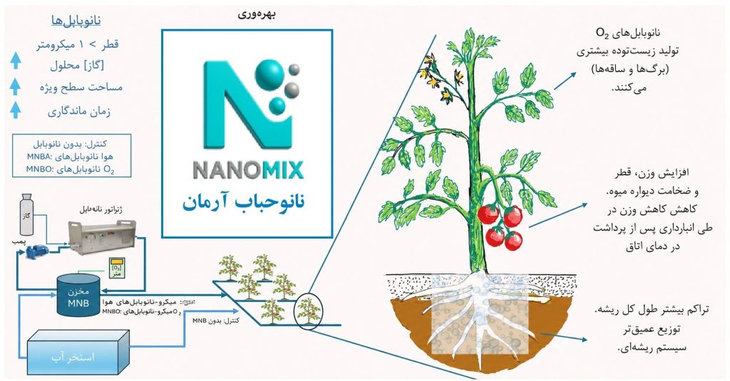 نانوحباب اکسیژن برای افزایش کیفیت و ماندگاری میوه گوجه فرنگی