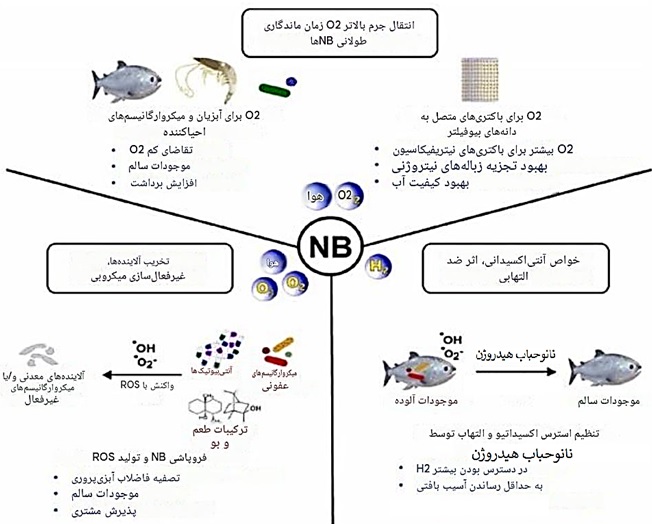 شکل 6: آبزی‌پروری پایدار با استفاده از نانوحباب‌ها